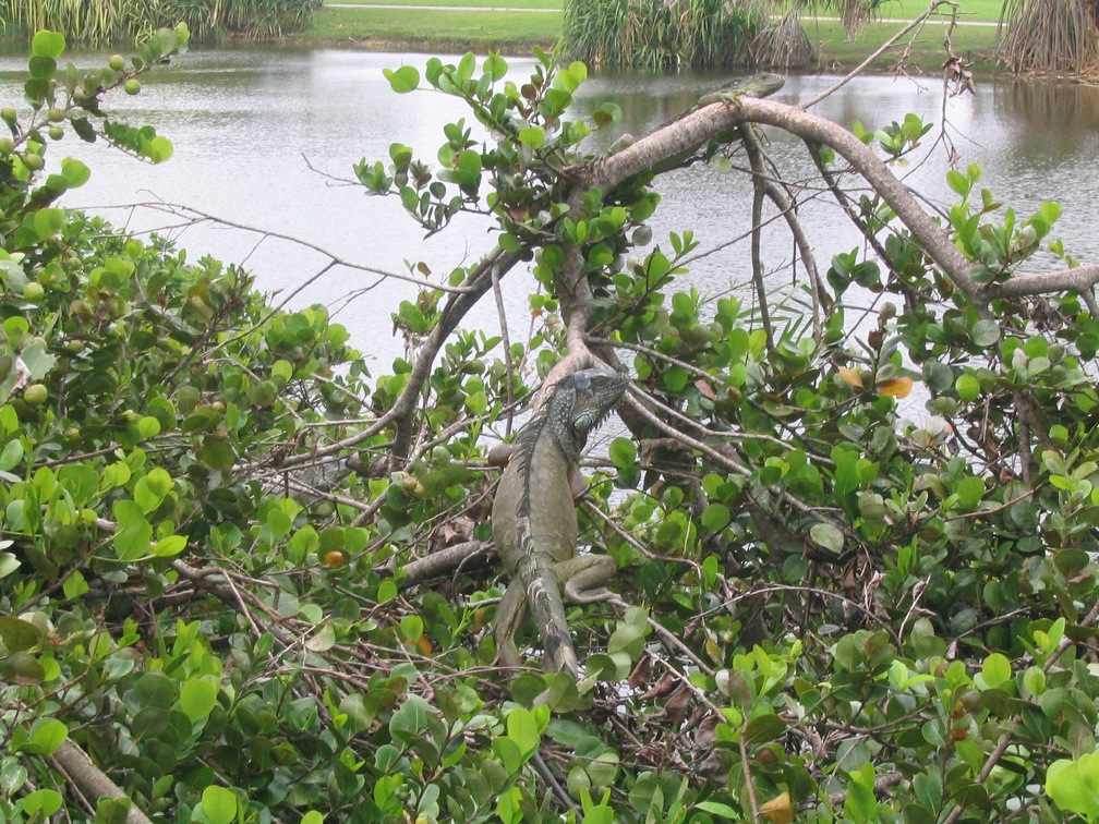 Florida2006 083